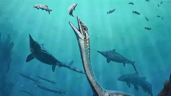 2億4500万年前の海洋爬虫類の化石に肝臓や胃腸がしっかりと残されていた