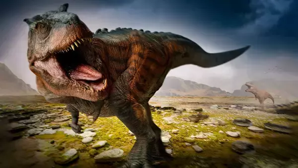 ティラノサウルスのような肉食恐竜の腕はなぜ小さいのか、有力な手がかりが見つかる