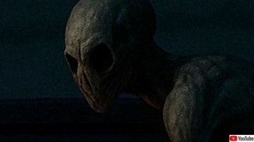 「人間じゃない？」闇に包まれた古戦場跡を運転中に未確認生物に遭遇