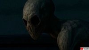 「人間じゃない？」闇に包まれた古戦場跡を運転中に未確認生物に遭遇