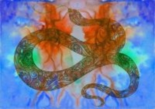 ウロボロスの究極版？深いタンクに落ちたヘビの驚くべきサバイバル術（ヘビ出演中）