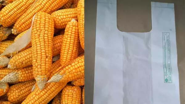 トウモロコシの廃棄物などから作った生分解性のレジ袋がインドで開発される