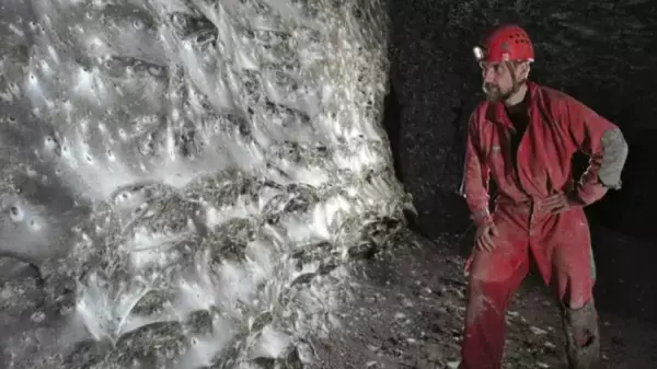 洞窟の中で世界最大のクモの巣が発見される（クモ出演中）