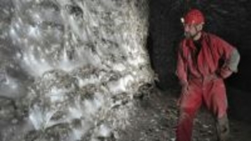 洞窟の中で世界最大のクモの巣が発見される（クモ出演中）