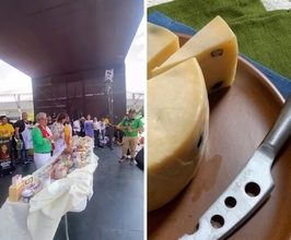 ブラジルでアリ入りチーズが登場（蟻出演中）