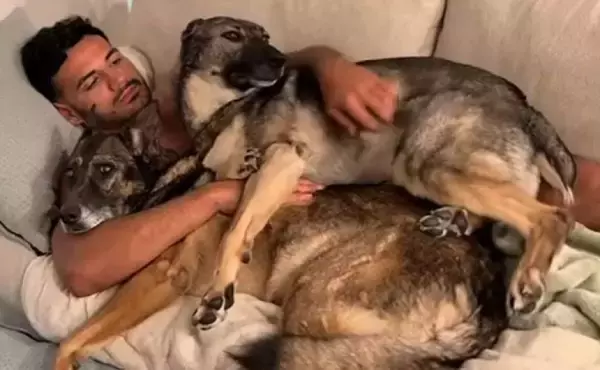 雷を怖がる元爆発物探知犬、飼い主の腕の中に飛び込み身をゆだねる姿にグッとくる。