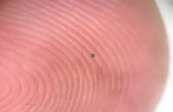 塩粒ほどの小ささ！世界最小の自律型ロボットが開発される