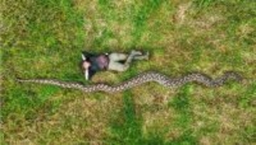 全長7.22m！アミメニシキヘビが「世界で一番長いヘビ」のギネス世界記録に認定