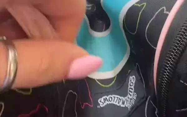 ニャンと！生徒のリュックを開けたら中には猫、しかも2匹！