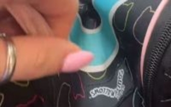 ニャンと！生徒のリュックを開けたら中には猫、しかも2匹！