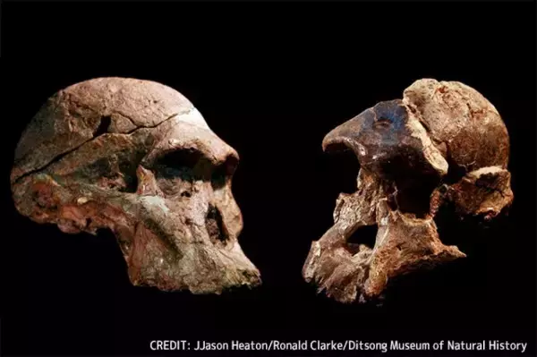 「人類のゆりかご」はこれまで考えられていたよりも100万年以上古い可能性