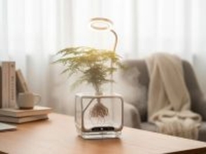 土も鉢も不要。植物の根まで観察できる、「空中栽培」デバイスが登場！