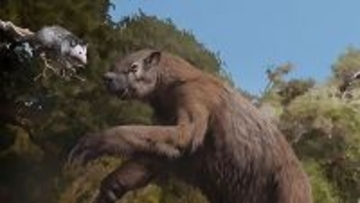 巨大アルマジロにマストドンも！テキサス州の浸水した洞窟で13万年前の化石を大量発見