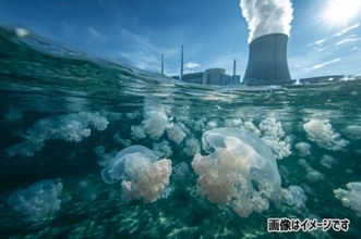 クラゲの大群がフランスの原子力発電所に2度目の襲撃、原子炉を停止に追い込む