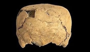 メキシコで「四角い頭蓋骨」が発見される。約1400年前に行われていた頭蓋変形の痕跡