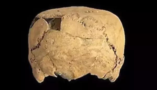 メキシコで「四角い頭蓋骨」が発見される。約1400年前に行われていた頭蓋変形の痕跡