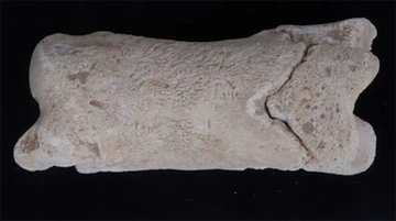 3300年前の古代エジプトで使われた骨笛、王家の墓を守る見張り役の道具だった