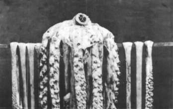 1874年に撮影、世界最古のダイオウイカの写真