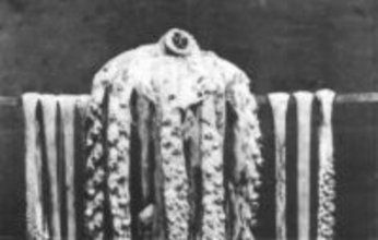 1874年に撮影、世界最古のダイオウイカの写真