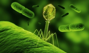 宇宙で進化したウイルスが薬剤耐性菌を撃退。ISSの微小重力で殺菌能力が向上