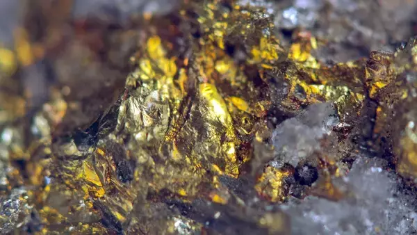 連なる火山地帯の地下に金が集まる仕組みを解明、岩石が溶けるたびに濃縮されていた