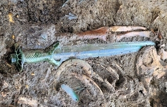 3400年前の青銅器時代の剣には、高度な職人技術が凝縮されていた