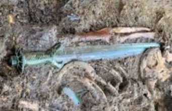 3400年前の青銅器時代の剣には、高度な職人技術が凝縮されていた