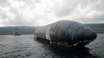 海に現れた巨大な黒い影に住民騒然、突如姿を現したスペースXのロケット（オーストラリア）
