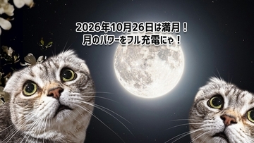 2026年10月26日は満月！年末に向けてのエネルギーをチャージなのだ