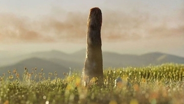 植物でも菌類でもない。4億年前の巨大な化石は未知の生命系統である可能性