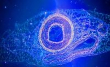 生命の起源の謎に新たな展開、酸素が進化を後押しした可能性