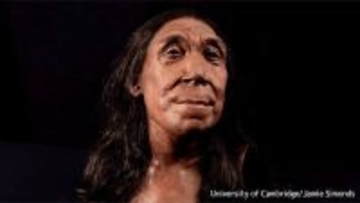 7万5000年前のネアンデルタール人女性の顔の復元に成功