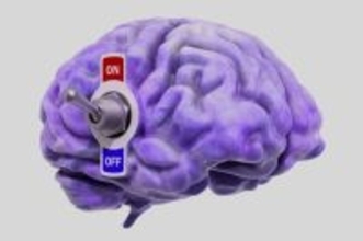 恐怖を早く忘れるための脳スイッチが特定される