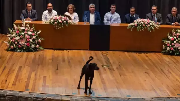 学校で愛されている犬が壇上に立ち卒業生に祝福のワン！