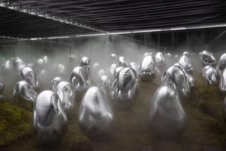 地球は進化した地球外生命体にテラフォーミングされたとする仮説が登場