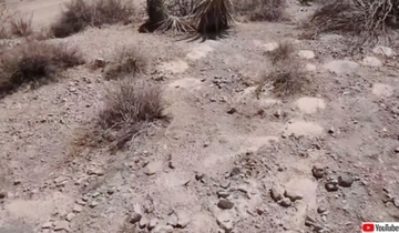 ラスベガス郊外の砂漠から300体以上の遺灰を発見、葬儀会社の不法投棄か？