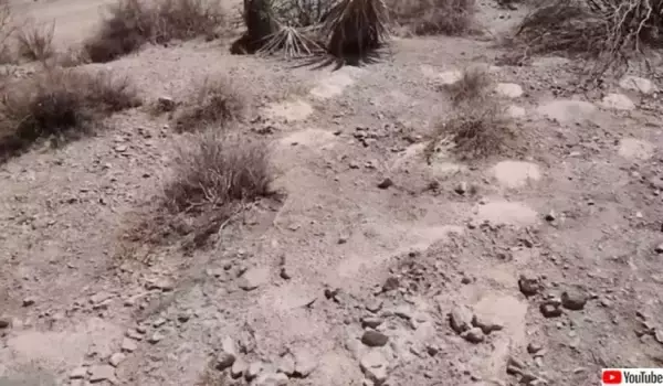 ラスベガス郊外の砂漠から300体以上の遺灰を発見、葬儀会社の不法投棄か？