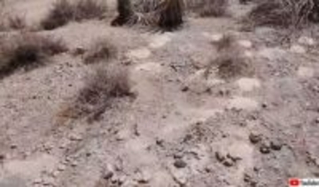 ラスベガス郊外の砂漠から300体以上の遺灰を発見、葬儀会社の不法投棄か？