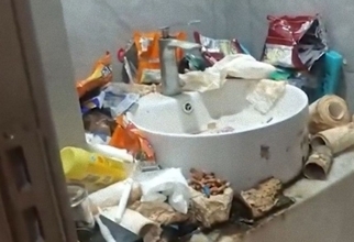 2年間ホテル暮らしをしていたゲーマー、客室を「汚部屋」に変えてしまう