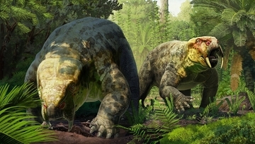 2億4000万年前の化石は新種の草食動物。最古の恐竜の起源が塗り替わる可能性