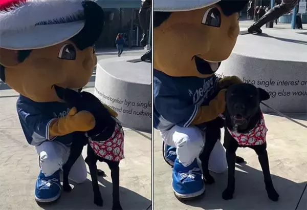 譲渡会で1匹だけ残ってしまった犬、ドジャースのマスコットにたっぷりかわいがってもらう