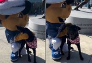 譲渡会で1匹だけ残ってしまった犬、ドジャースのマスコットにたっぷりかわいがってもらう