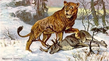 絶滅したホラアナライオンに現代のライオンの先祖の遺伝子が残されていた