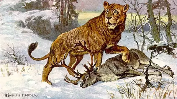 絶滅したホラアナライオンに現代のライオンの先祖の遺伝子が残されていた