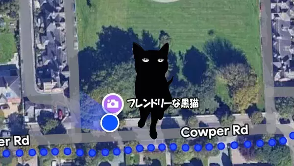 Googleマップに「フレンドリーな黒猫」のマークを発見、行ってみると本当だった