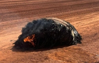 オーストラリアの砂漠で宇宙からやってきた、内部が燃えた黒い物体が発見される