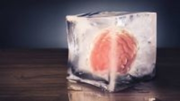 冷凍した人間の脳組織を解凍した後も正常に機能する技術開発に成功