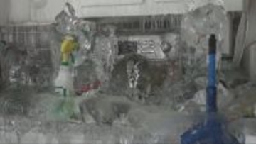 アパートの1室が「氷の城」に！休暇中に暖房を切った住人による節約事故