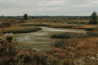 ハチに似た蛾の発見で、英国初となる1万種の生物種を記録した自然保護区