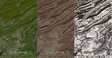 わずか9週間で景色が劇変！バージニア州の驚異的なタイムラプス映像